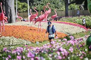 BIB: 
                            <button type="button" onclick="openModal(27794328)" class="btn btn-primary btn-sm float-right btn-popup" data-toggle="modal" data-target=".modal-high-quality">
                        <i class="fas fa-shopping-cart"></i> Add to Cart
                    </button>
                                            <button type="button" onclick="isThisMe(27794328, true)" class="btn btn-success btn-sm float-right btn-popup btn-isme hidden" data-toggle="tooltip" data-placement="bottom" title="นี่คือรูปของคุณใช่ไหม คลิกที่นี่เพื่อเอาเข้าอัลบั้ม">
                        <i class="fas fa-plus"></i> Add to album
                    </button>
                    <button type="button" onclick="isThisMe(27794328, false)" class="btn btn-warning btn-sm float-right btn-popup btn-isnotme hidden">
                        <i class="fas fa-ban"></i> Remove from album
                    </button>